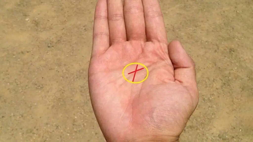 did you have this symbol on palm